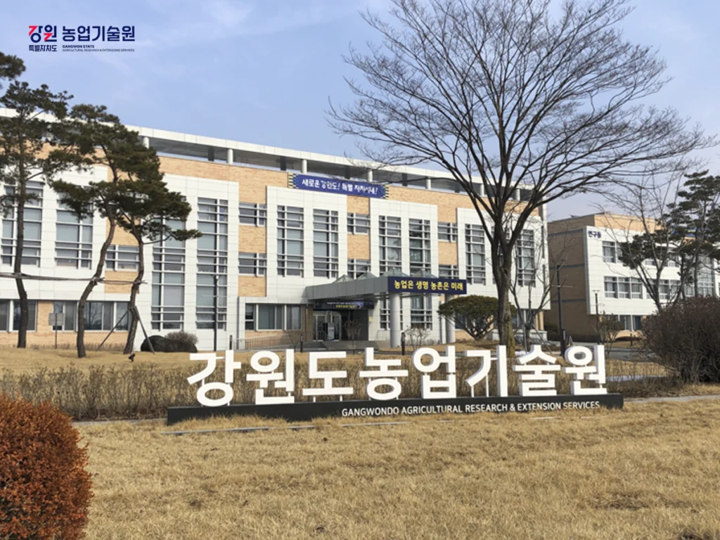 강원도농업기술원 사례 이미지 5